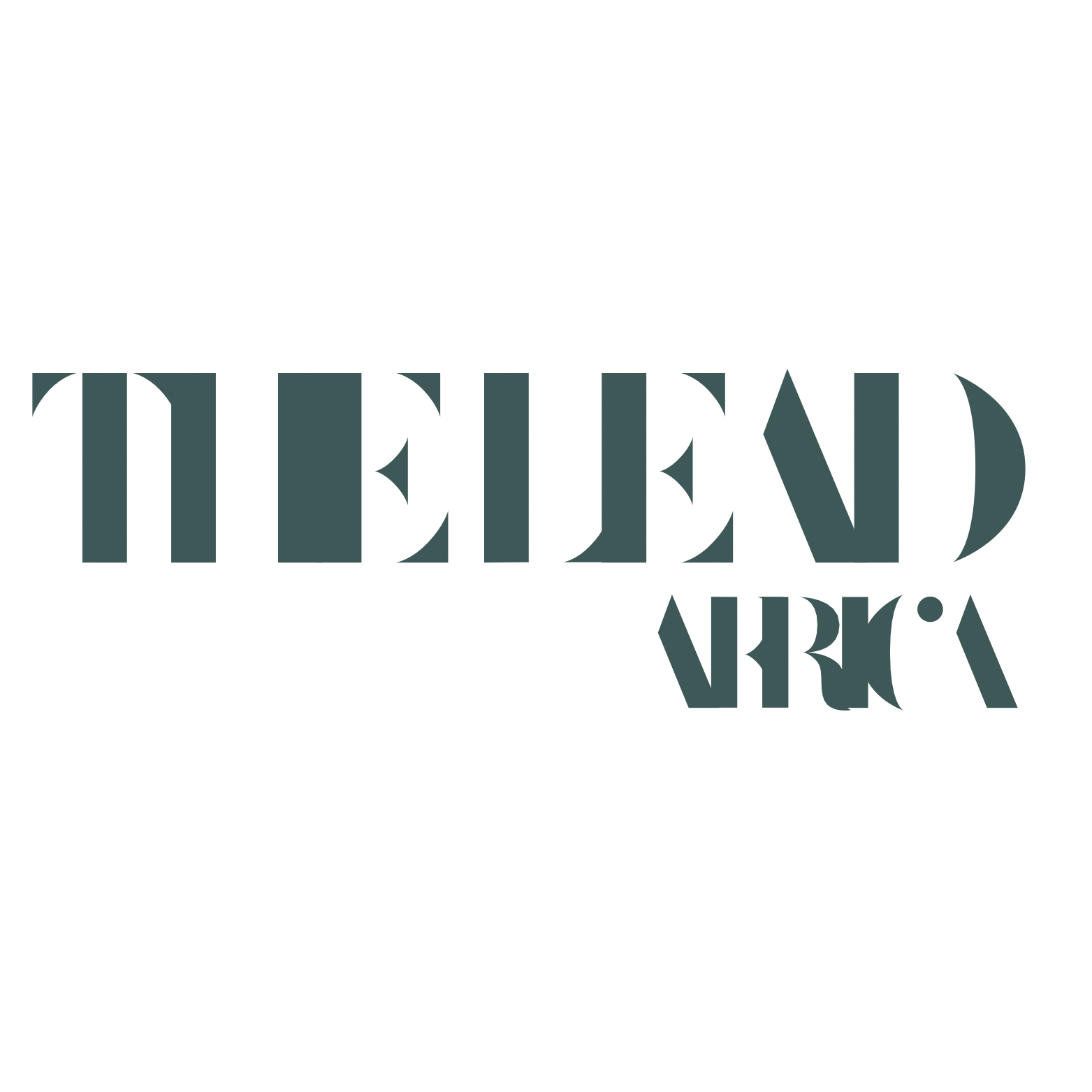 The Lead Africa